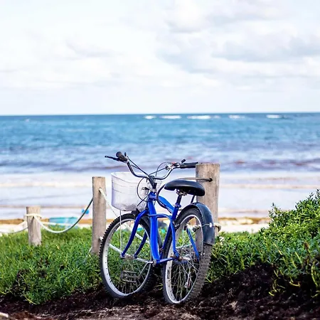Kleine Strandduene Im Strandhaus Mit Balkon Wustrow (Fischland)