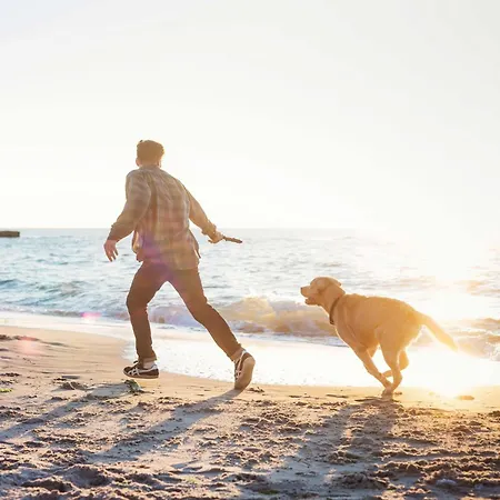 Kleine Strandduene Im Strandhaus Mit Balkon Apartment *
