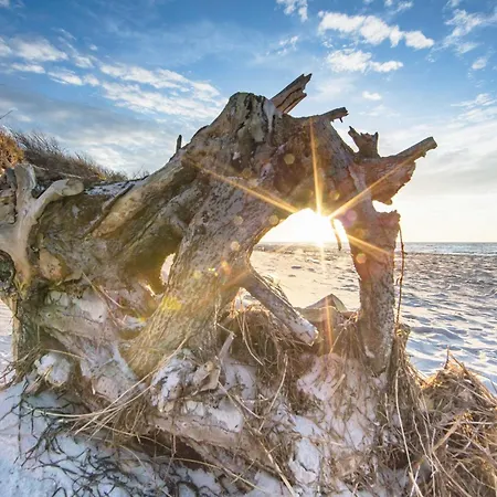 Apartment Kleine Strandduene Im Strandhaus Mit Balkon